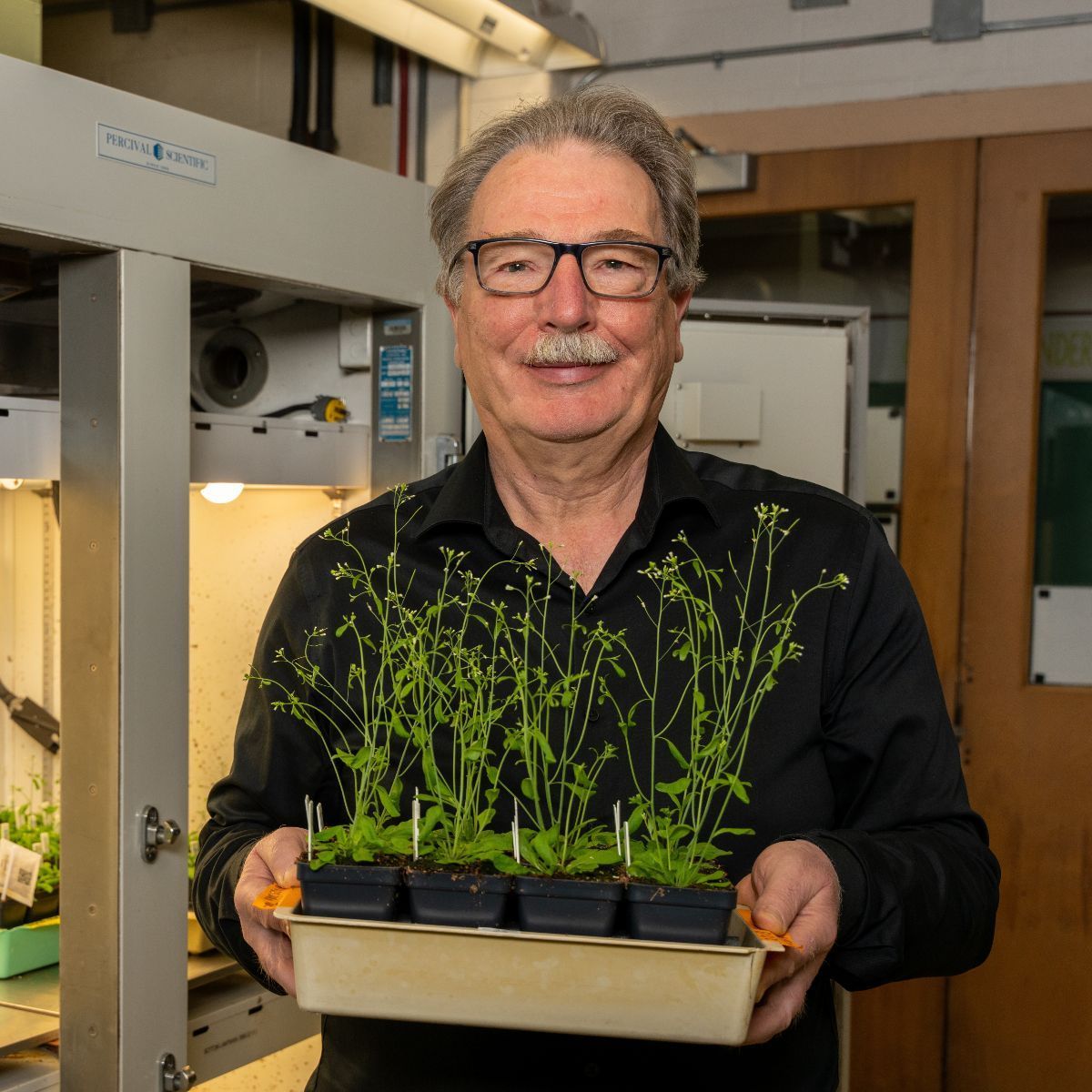 MSUDOEPlantLab's tweet image. Read all about it! Check out the latest news from the Plant Research Laboratory:
mailchi.mp/msu/prl-newsle…