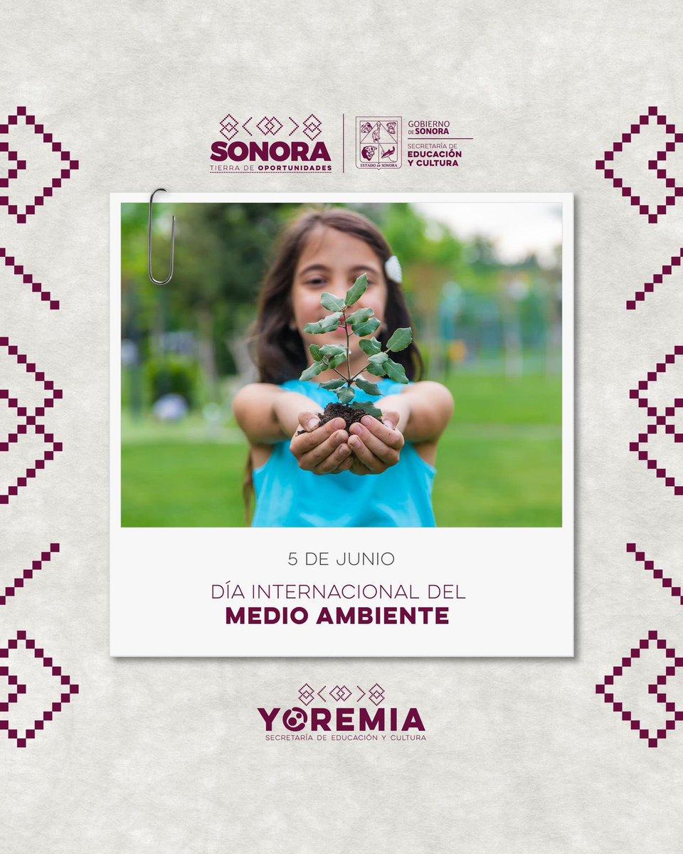 ⚪️ Esta fecha fue establecida por el Programa de las Naciones Unidas para el Medio Ambiente y se ha convertido en una de las plataformas mundiales con mayor alcance, para definir acciones e intervenir en beneficio de las causas ambientales, desde las escuelas, se fomenta una