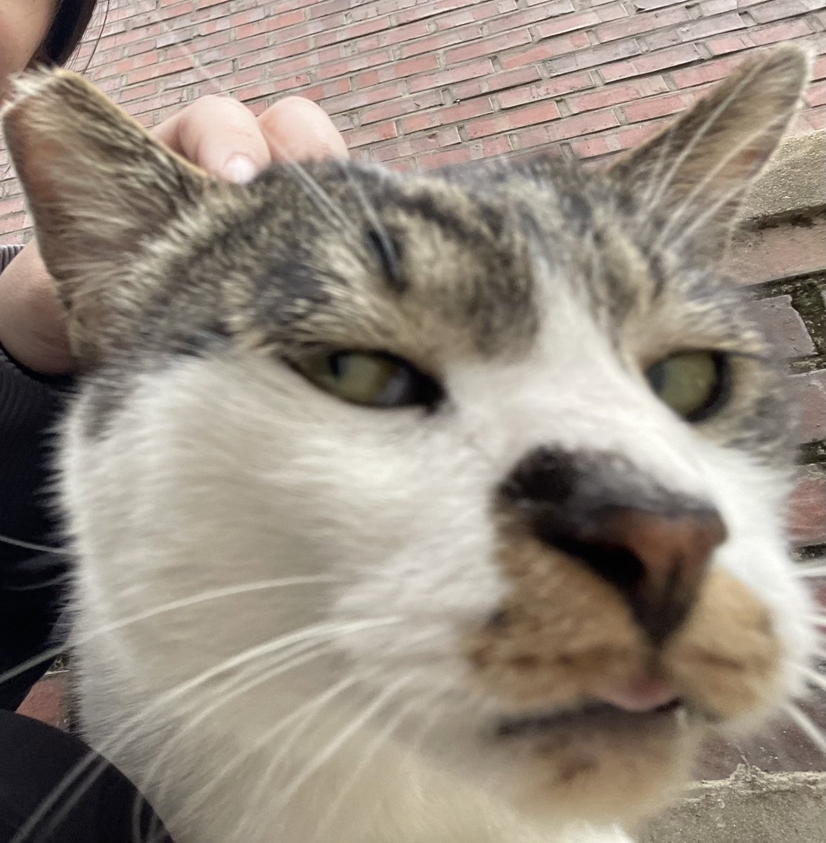 rhino🪲 tweet media