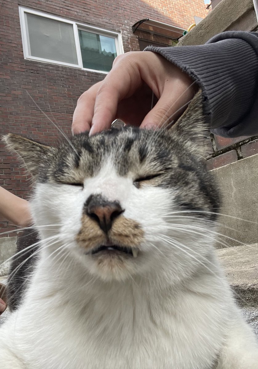 rhino🪲 tweet media