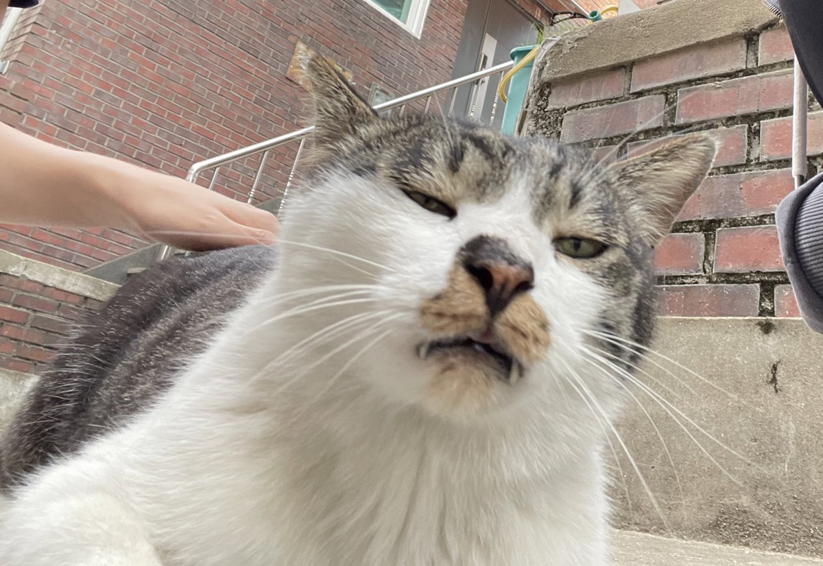 rhino🪲 tweet media