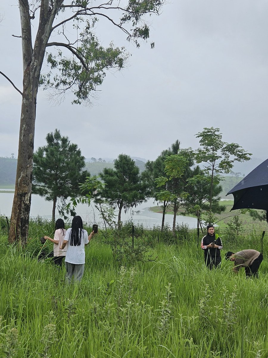 NSS Unit, UCC organized a Plantation Drive in collaboration with BSI to commemorate World Environment Day. Volunteers, faculty and staff actively participated in the initiative, contributing to a greener and more sustainable environment. <a href="/nss_rdguwahati/">NSS RD Guwahati</a> <a href="/NehuNss/">NEHU NSS UNIT</a> <a href="/SNONSSMeghalaya/">SNO,meghalaya</a>