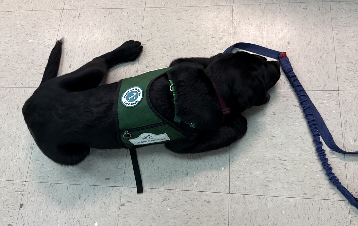 SummerSEARCH_HC's tweet photo. SEARCH Camp had a special visitor for the Shark Tank Class today! https://t.co/BMy5Gk89gj