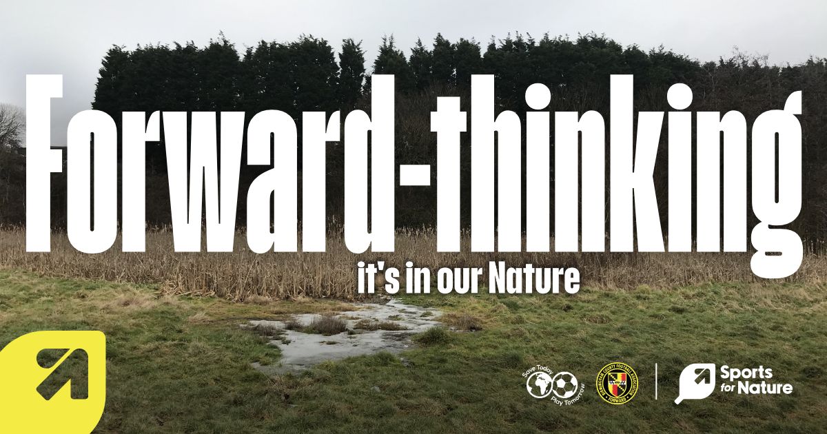 This #WorldEnvironmentDay, we're committed to changing the game 💚 

Birmingham County FA's 'Save Today, Play Tomorrow' programme is forward-thinking, and setting the national standard for grassroots football sustainability, proving that protecting nature is central to the future