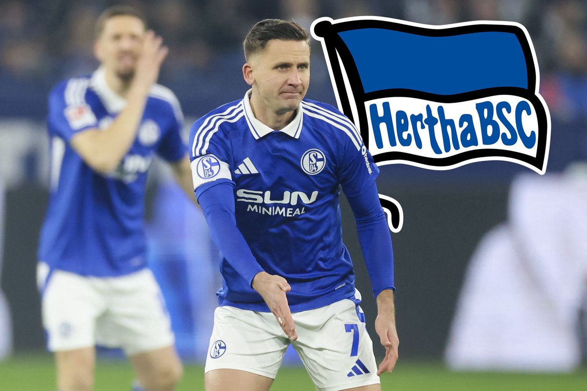 Florian Plettenberg tweet media