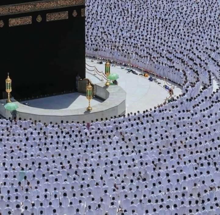 Mosaleh222's tweet photo. "وَمَا يُلَقَّاهَا إِلَّا الَّذِينَ صَبَرُوا وَمَا يُلَقَّاهَا إِلَّا ذُو حَظٍّ عَظِيمٍ"
يا رب اجعلنا من أصحاب الحظ العظيم❤️ https://t.co/fQp4GLNBZg