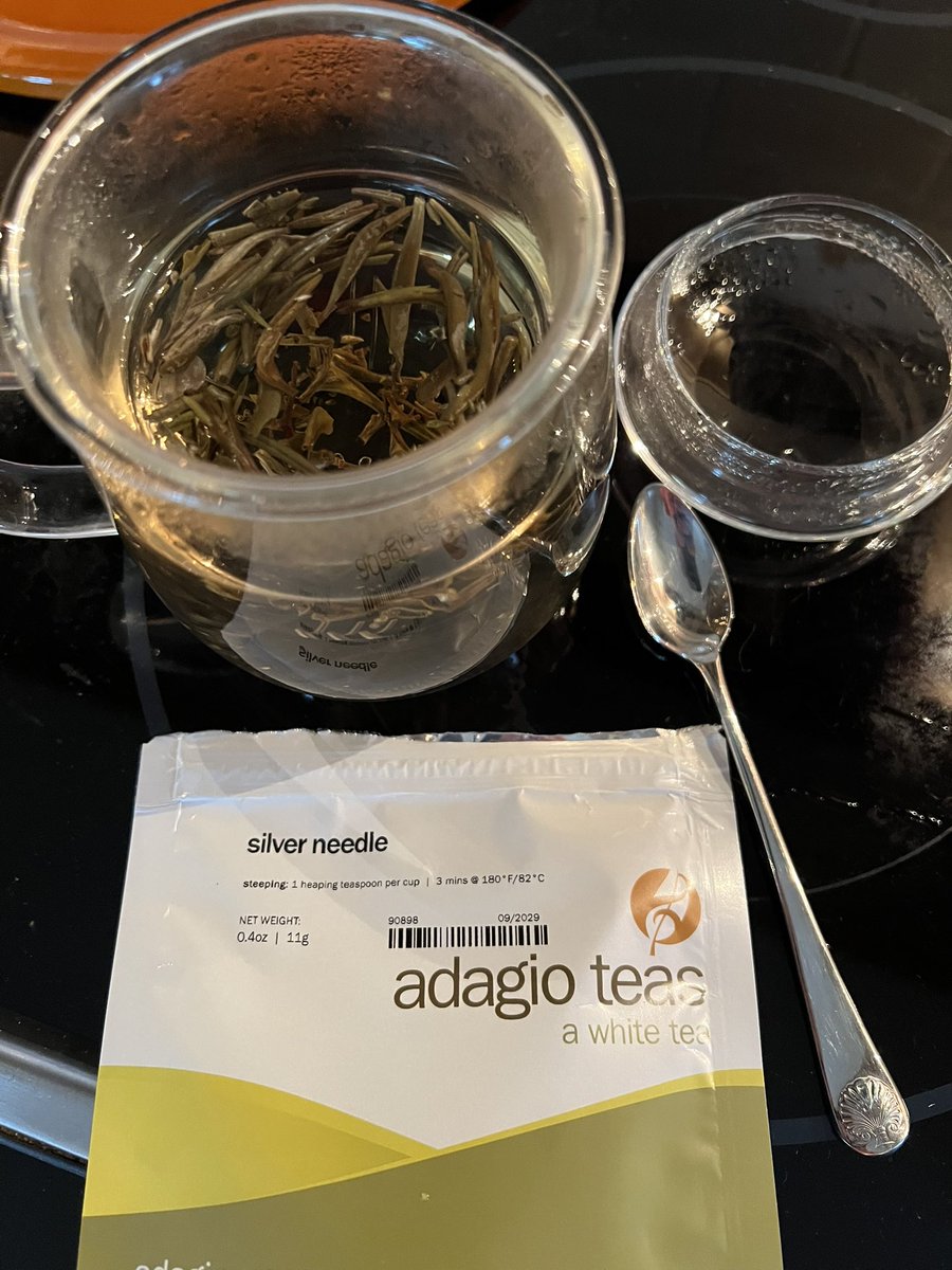 It was the needle and the spoon
And a trip to the moon
Took me away, took me away

Any tea connoisseurs hit me with your favorite 

Extra points if you can show me a good place to buy Fuding Silver Needle 🫖
