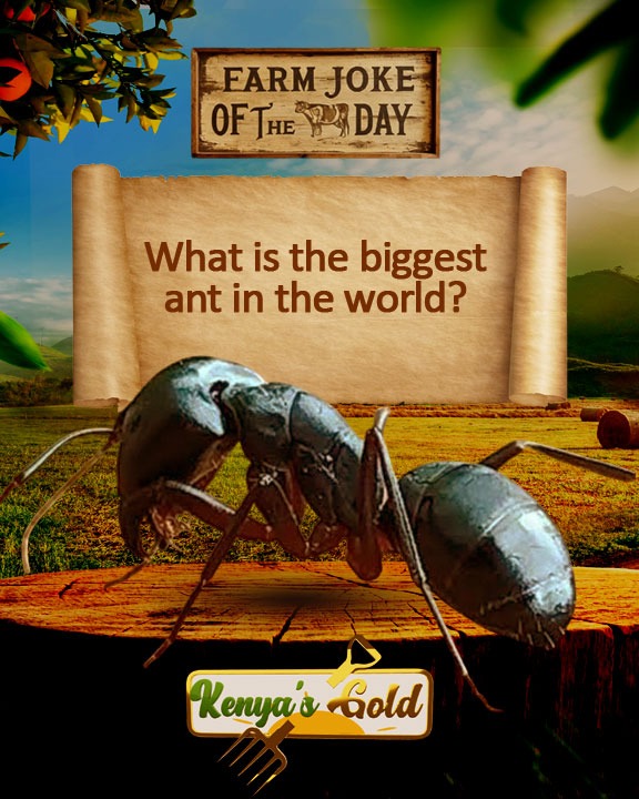 Citizen TV Kenya tweet media