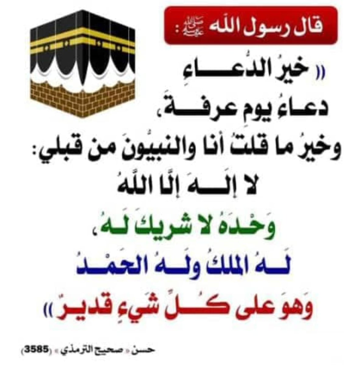 "خير الدعاء دعاء يوم عرفة، وخير ما قلت أنا والنبيّون من قبلي: 

لا إله إلا الله وحده لا شريك له، له الملك، وله الحمد، وهو على كل شيء قدير"

احرص على هذا الذكر