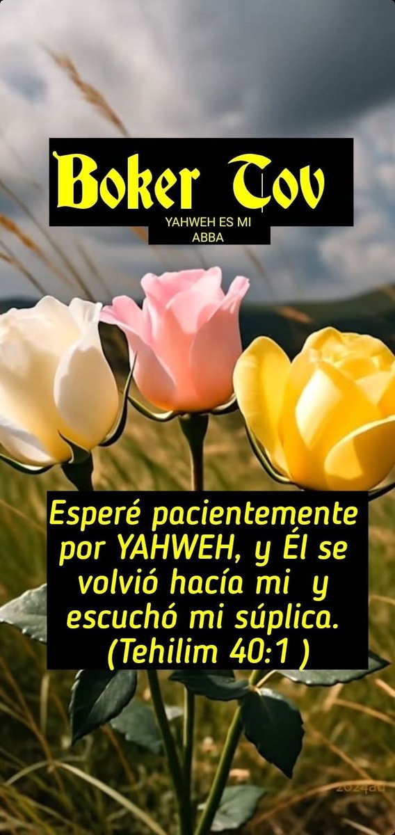 𝕻𝖗𝖎𝖓𝖈𝖊𝖘𝖆 𝕲𝖚𝖊𝖗𝖗𝖊𝖗𝖆 פרלטה ד יהוה tweet media