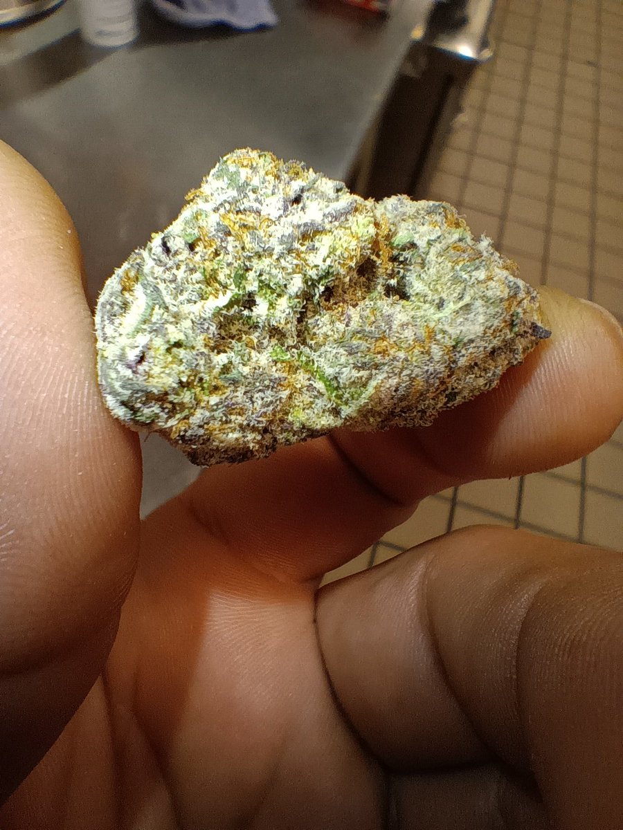 Aaron Eternally tweet media