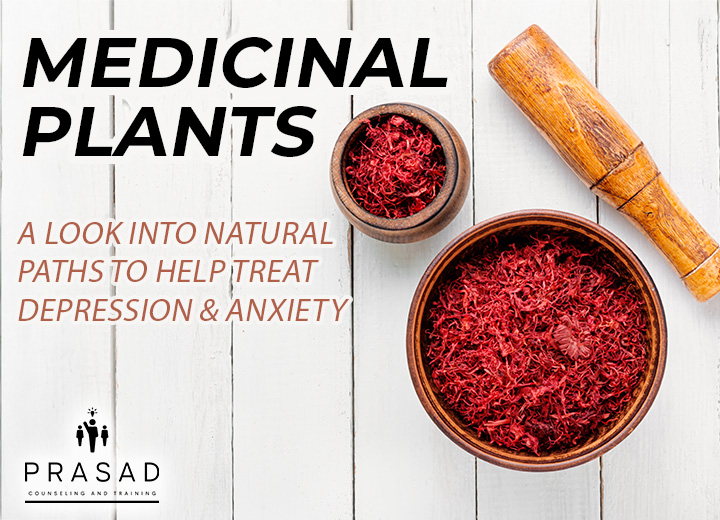 Exploring a natural path to mental wellness? In our blog, we look at the research on medicinal plants &amp; their potential to ease depression, anxiety &amp; mental health challenges.
prasadcounseling.com/medicinal-plan… 
#MedicinalPlants #HolisticWellness