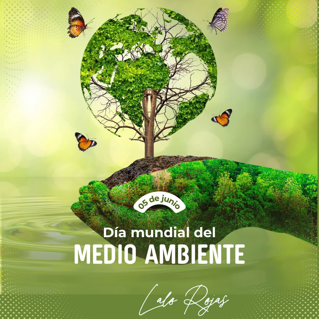 Día Mundial del Medio Ambiente

Este día, establecido por la Organización de las Naciones Unidas (ONU) en 1972, busca generar conciencia sobre los desafíos ambientales y fomentar la acción global en favor de un desarrollo sostenible.

El medio ambiente es el hogar que