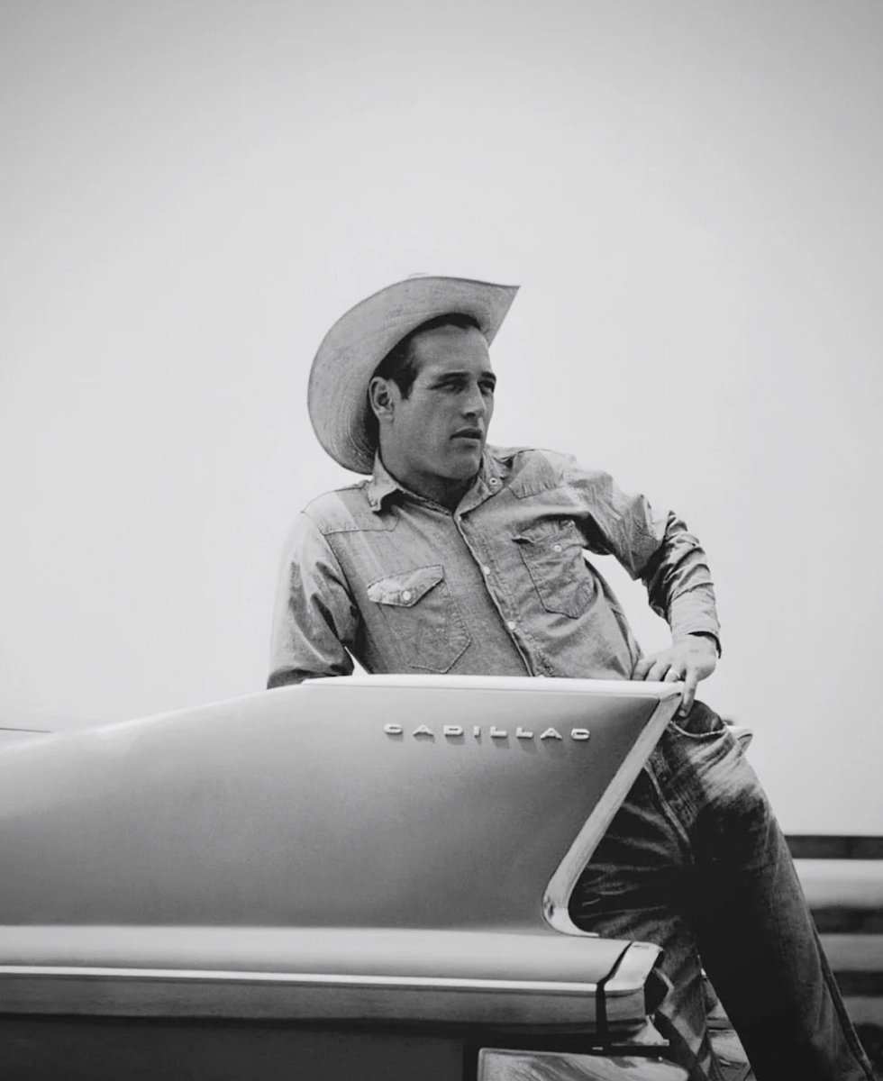 Christina Newland (@christinalefou) on Twitter photo For Paul Newman’s centenary at <a href="/BFI/">BFI</a> Film on Film this June, I’ll be doing an introduction of Martin Ritt’s mean-spirited 1963 neo-Western Hud. In 35mm, of course. Couldn’t be happier. 
whatson.bfi.org.uk/Online/default…. For Paul Newman’s centenary at <a href="/BFI/">BFI</a> Film on Film this June, I’ll be doing an introduction of Martin Ritt’s mean-spirited 1963 neo-Western Hud. In 35mm, of course. Couldn’t be happier. 
whatson.bfi.org.uk/Online/default….
