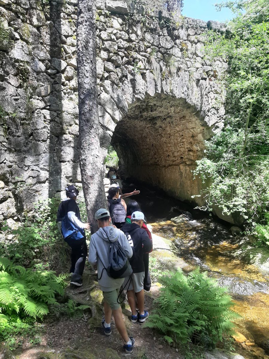 Los alumnos de 6° están disfrutando del viaje de fin de curso en un increíble albergue en Cercedilla. ¡Una experiencia inolvidable en un entorno único! #ParqueCataluña #SoydelCata #ViajeEscolar #Cercedilla