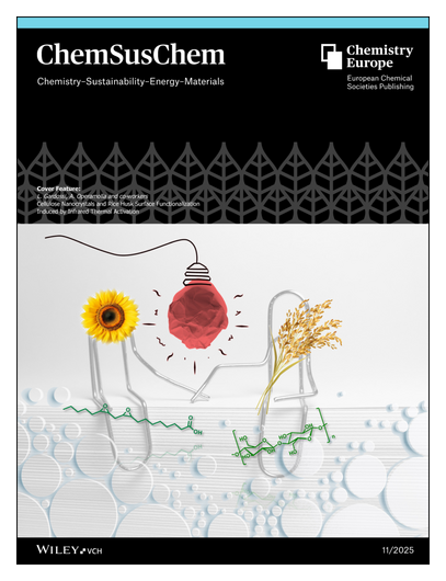 #ChemSusChem #OnTheCover Cellulose Nanocrystals and Rice Husk Surface Functionalization Induced by Infrared Thermal Activation (A. Operamolla et al.) doi.org/10.1002/cssc.2… <a href="/AlessandraOpEra/">AlessandraOperamolla</a> <a href="/ChemUniPi/">DCCI UniPisa</a> • onlinelibrary.wiley.com/doi/10.1002/cs…
