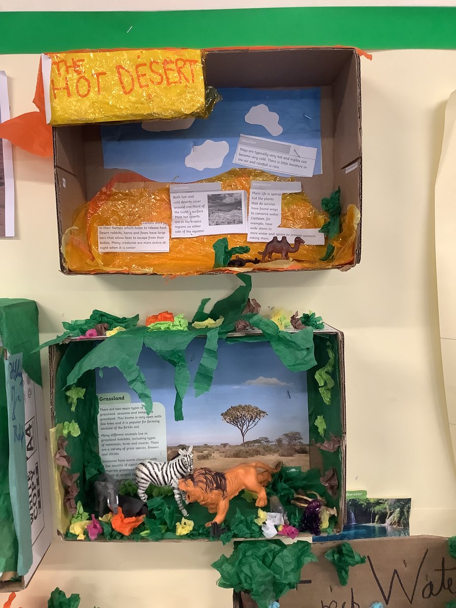 Featherbank Primary tweet media