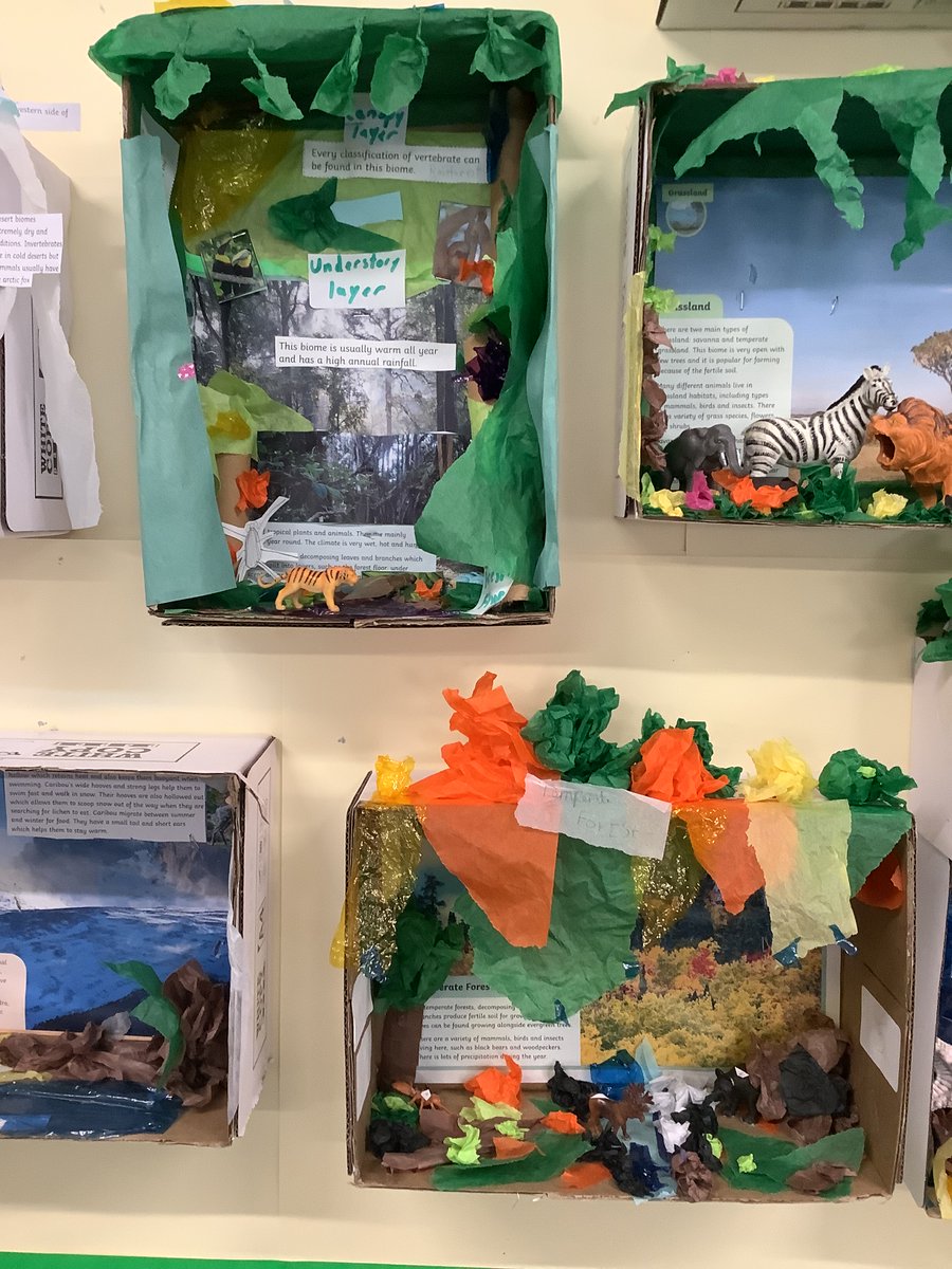 Featherbank Primary tweet media