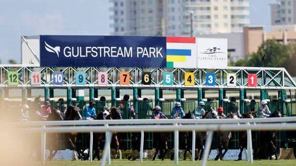 Fernando Jose Odria (@hipicatotal_usa) on Twitter photo #Hipismo #FelizJueves #05Junio MARCAS #GulfstreamPark CORTESIA <a href="/HIPICATOTAL_USA/">Fernando Jose Odria</a> LOS FIJOS Y PICKS POR EL WHATSAPP +58 4241309167
1)7.5.1.2
2)8
3)2.4.1.5
4)2.4
5)3.1.8.7
6)6.3
7)8.6
8)2.3
9)8
!!!SUERTE!!! #Hipismo #FelizJueves #05Junio MARCAS #GulfstreamPark CORTESIA <a href="/HIPICATOTAL_USA/">Fernando Jose Odria</a> LOS FIJOS Y PICKS POR EL WHATSAPP +58 4241309167
1)7.5.1.2
2)8
3)2.4.1.5
4)2.4
5)3.1.8.7
6)6.3
7)8.6
8)2.3
9)8
!!!SUERTE!!!