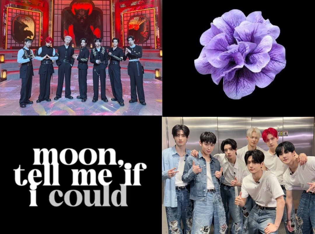 ★. 그냥 정원이 .ᐟ.ᐟ/ᐠ ˃ ᵕ ˂ ﾏ tweet media