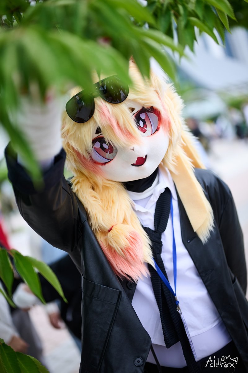 예쁜이, 여기 숨어있었네 -⭐️

📸 :  <a href="/_f0x15/">산여우 AcidF0x</a> 

#PlayX4 #FursuitFriday