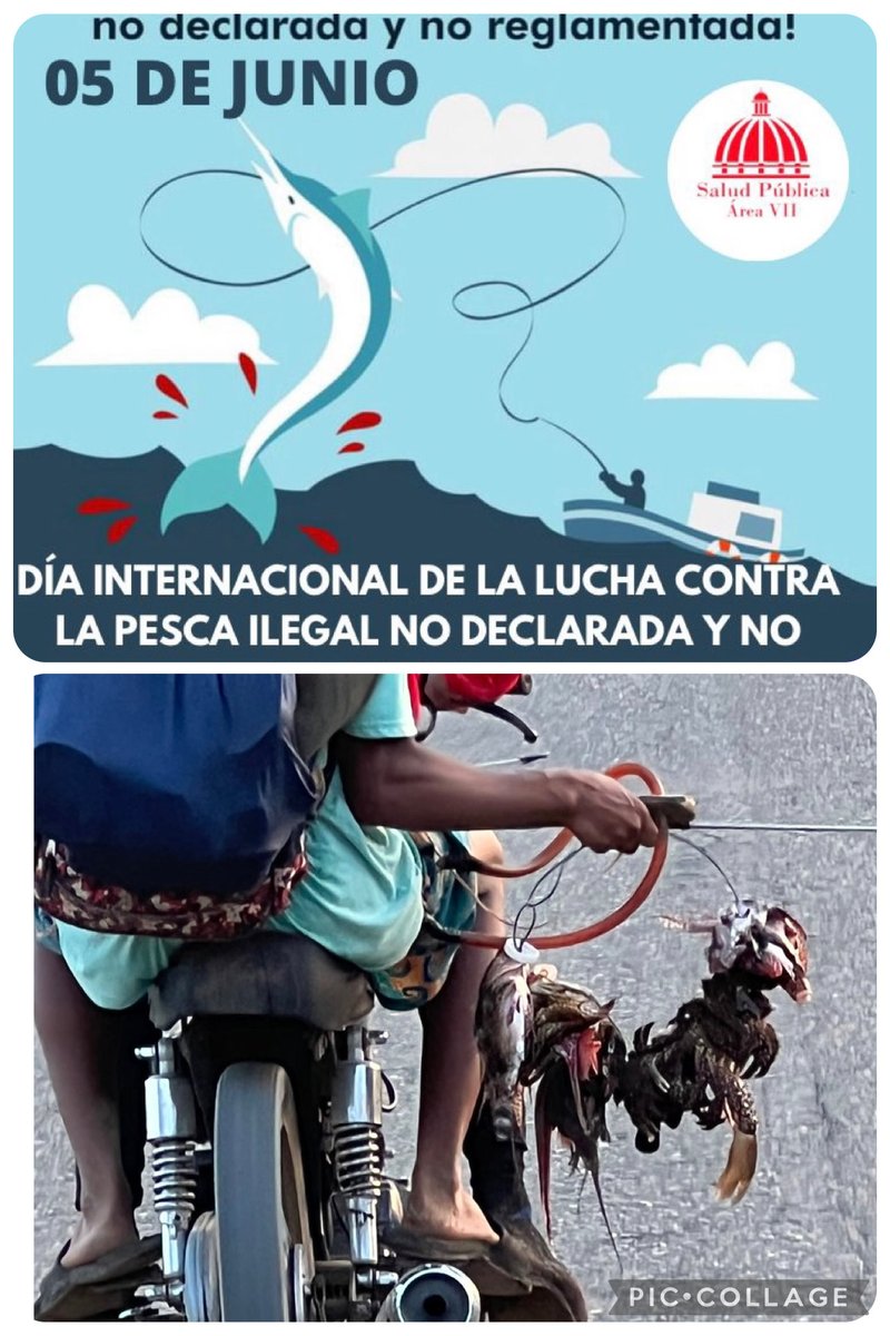 Es vital conservar y lograr una pesca sostenible en nuestras costas.Todos podemos ayudar.🐠🐋🐟🦞🦀🐙🦑🐳🐡🪼🦂