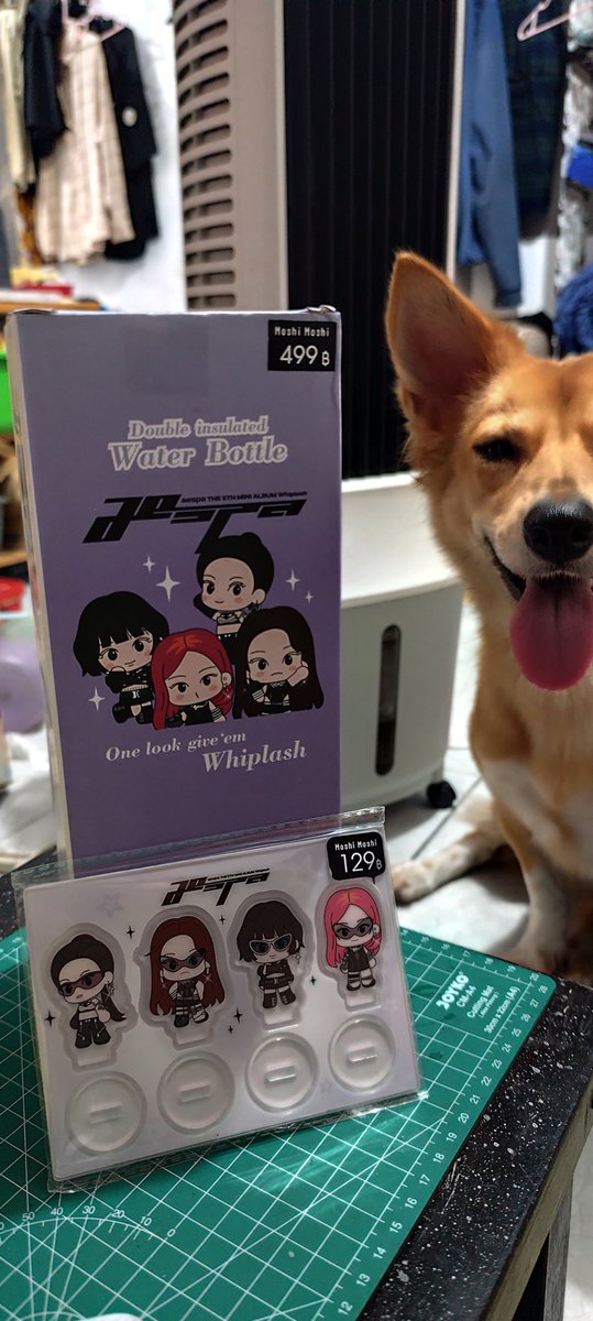 Katarina tweet media