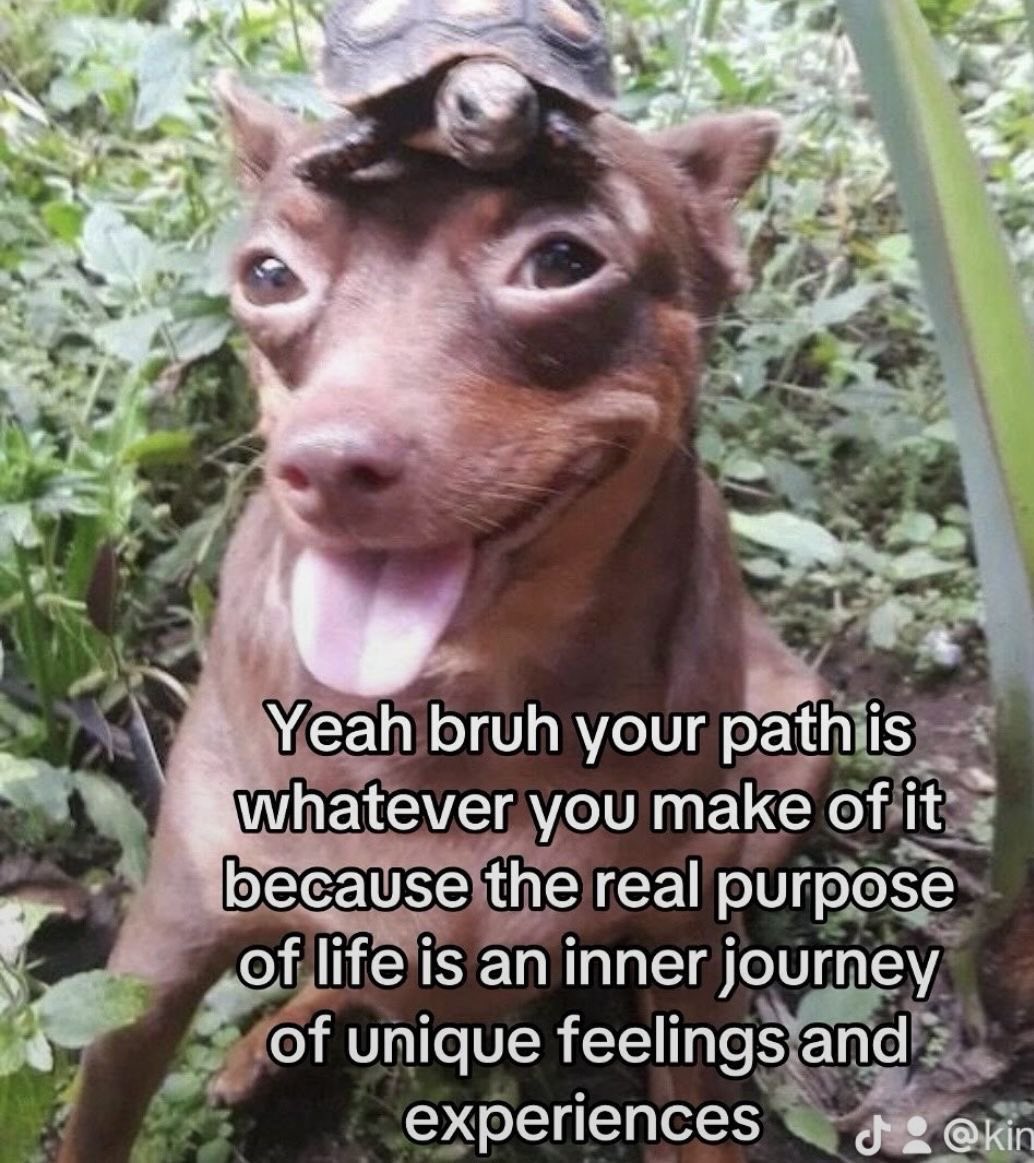 The Notorious J.O.V. (@whotfisjovana) on Twitter photo 