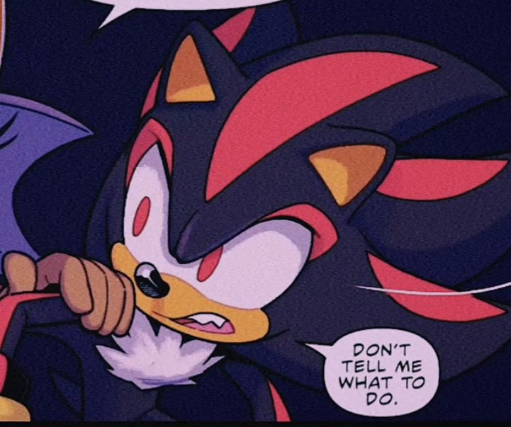 Shadow HAS never and WILL never say this to Amy Rose.
#shadamy
