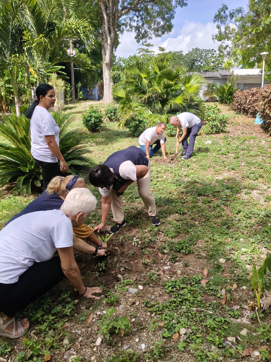 🌱Un árbol hoy, un futuro mañana.
En conmemoración al #DíaMundialDelMedioAmbiente, los trabajadores de <a href="/ETECSA/">ETECSA</a> en #VillaClara se suman a la acción plantando árboles en nuestras áreas verdes.
Porque cuidar la naturaleza también es parte de nuestra misión.
#ETECSAConsciente 🌍💚