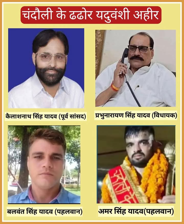 Ahir_Archives's tweet image. All the Chandauli yadav samples belongs to Dhadhor ahirs it also scores nearly with Rajasthan yadav samples