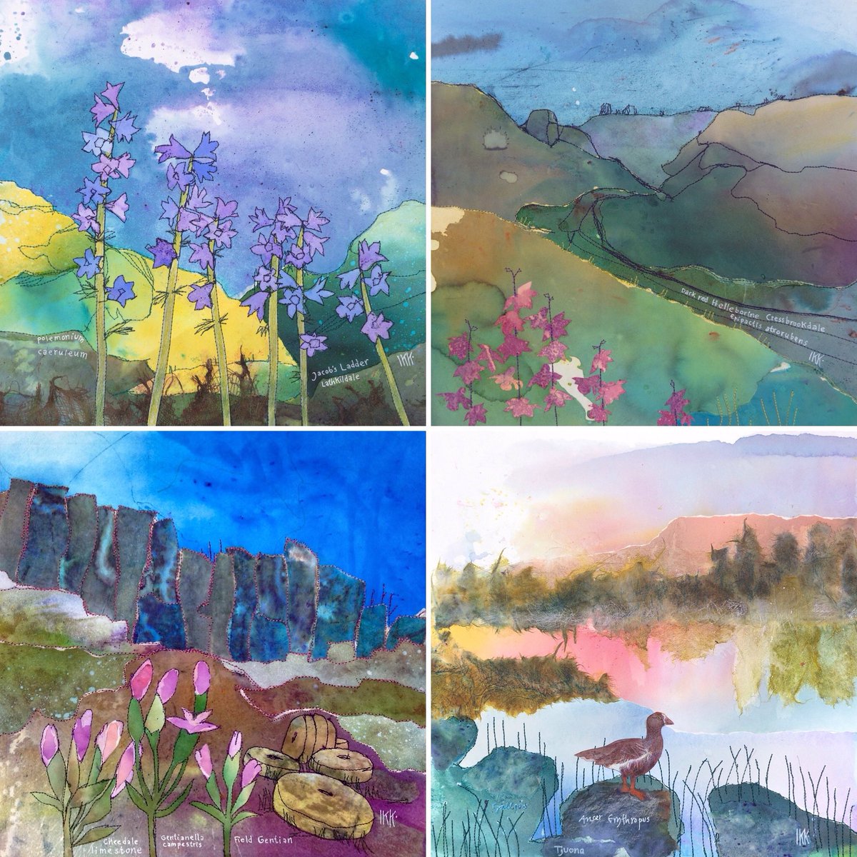 I have just taken delivery of card stock, the entire Habitat series of 16 images, and will bring these over to @haddonhall Gatehouse Gallery where I will be on duty tomorrow 10.00-16.30. 🦆🐦‍⬛🦋🦦🐇🌾🌿