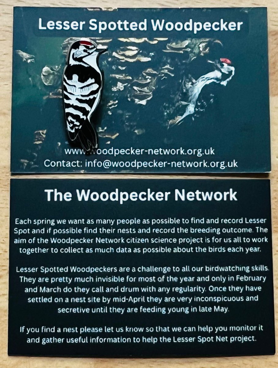 lesserspotnet's tweet image. As a special thank you we are awarding unique Lesser Spotted Woodpecker pin badges to LesserSpotNet volunteers who found LSW nests this year or contributed in other ways. The Badges were designed & produced specially for us by @ukbirdingpins Thanks @blackdownbirder for organising