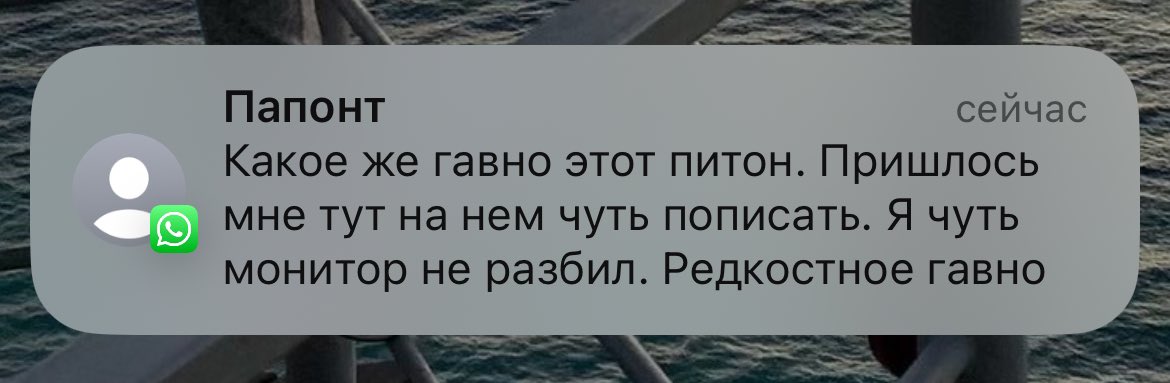 Лисички в сметане tweet media