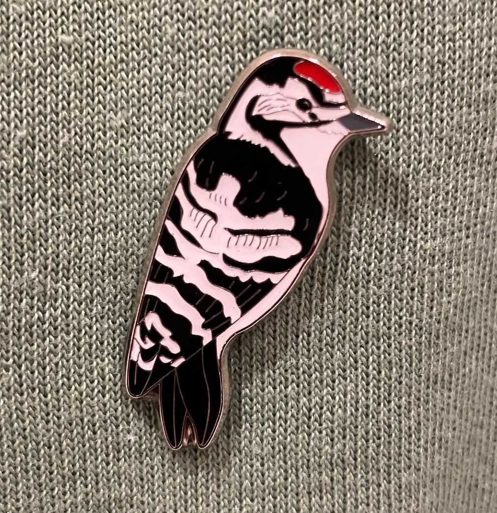 lesserspotnet's tweet image. As a special thank you we are awarding unique Lesser Spotted Woodpecker pin badges to LesserSpotNet volunteers who found LSW nests this year or contributed in other ways. The Badges were designed & produced specially for us by @ukbirdingpins Thanks @blackdownbirder for organising