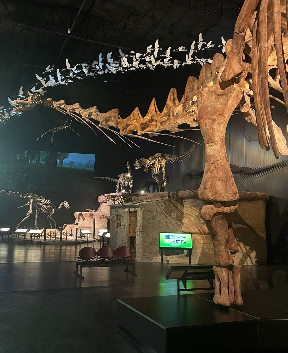 ✅ ORDENANZA APROBADA | ¡Llega el programa “Todos al Museo”! 🦖🏛️
Hoy aprobamos una iniciativa que garantiza el acceso gratuito al MEF para todos los estudiantes de 4° grado de la ciudad.
👉 Impulsado por @EntreturTrelew busca acercar a las infancias al patrimonio turístico local