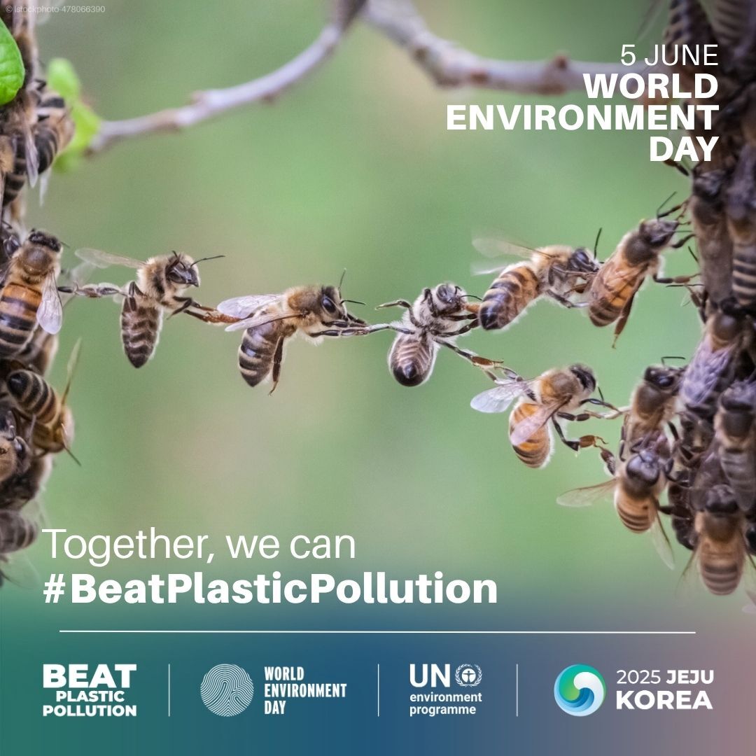 June 5th is #WorldEnvironmentDay.
Join #Azotic and #BeatPlasticPollution – together, let's create a healthier future!
bit.ly/3FpXBg1