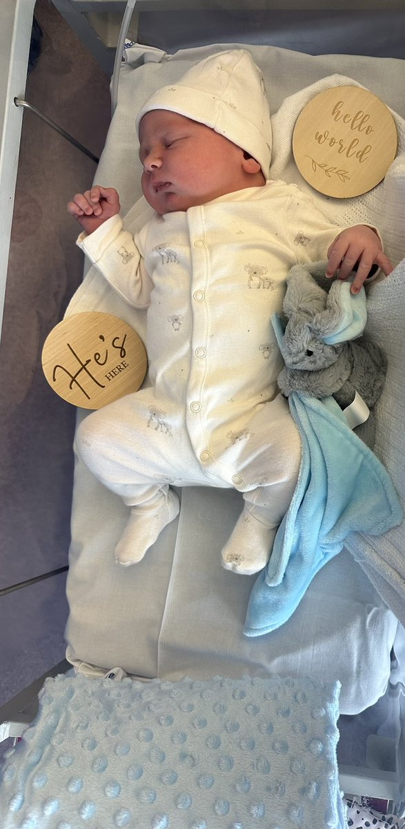 Daniel Campbell tweet media