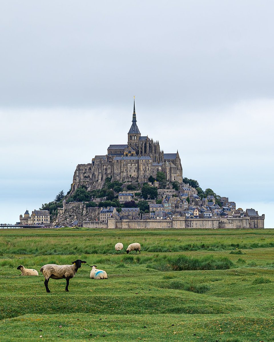 Quelques photographies de notre escapade dans la Manche - Article bientôt sur le blog ⏲️

#blogvoyage #magnifiquefrance 🇫🇷