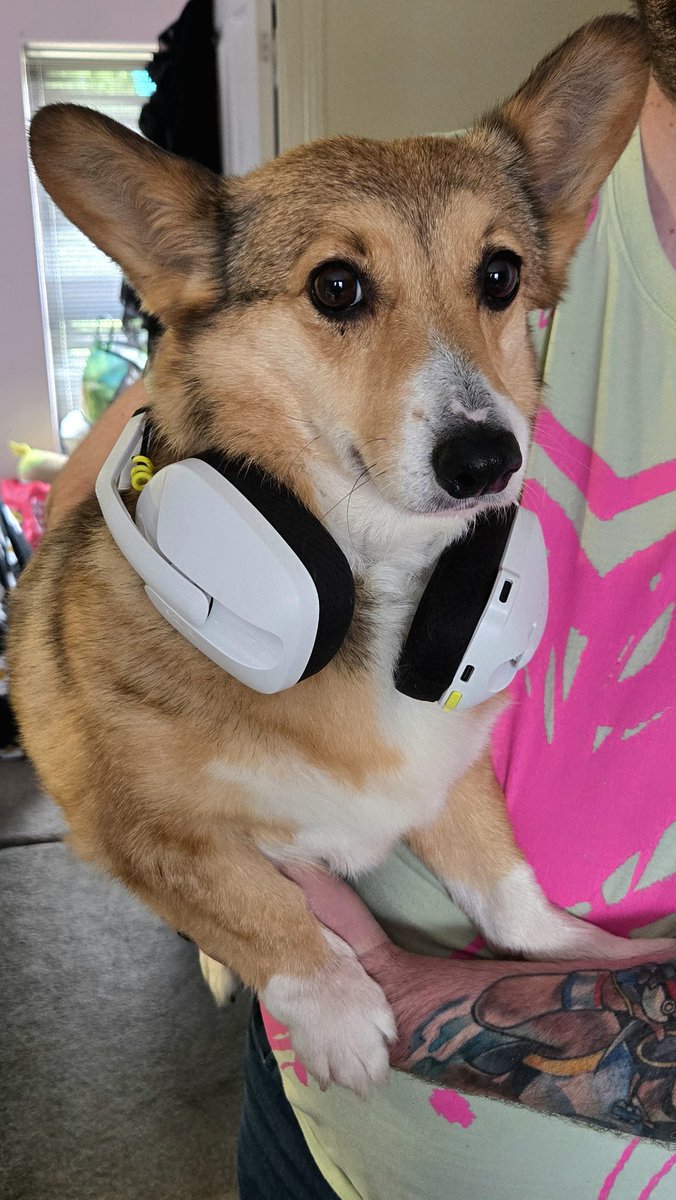 Yuffie says the G435s work on the Switch 2!! ✨