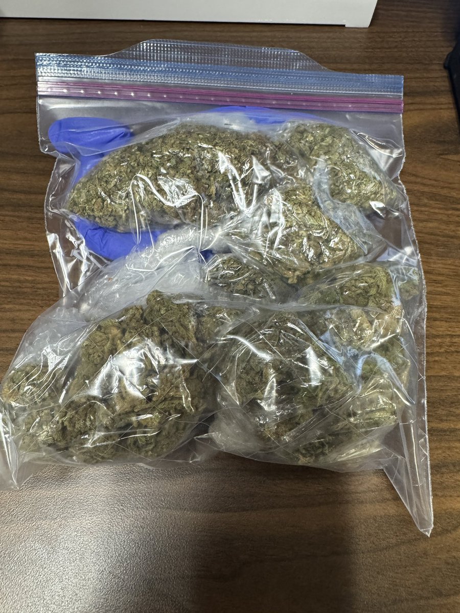 TxDPSSoutheast's tweet photo. π DPS Troopers seized 91g of marijuana during a routine stop on US Hwy 69 in Angelina County.
Awesome job keeping illicit drugs off our streets! π
#TexasDPS #AngelinaCounty #DrugSeizure #PublicSafety #KeepingTexasSafe https://t.co/ehv9IVktKD