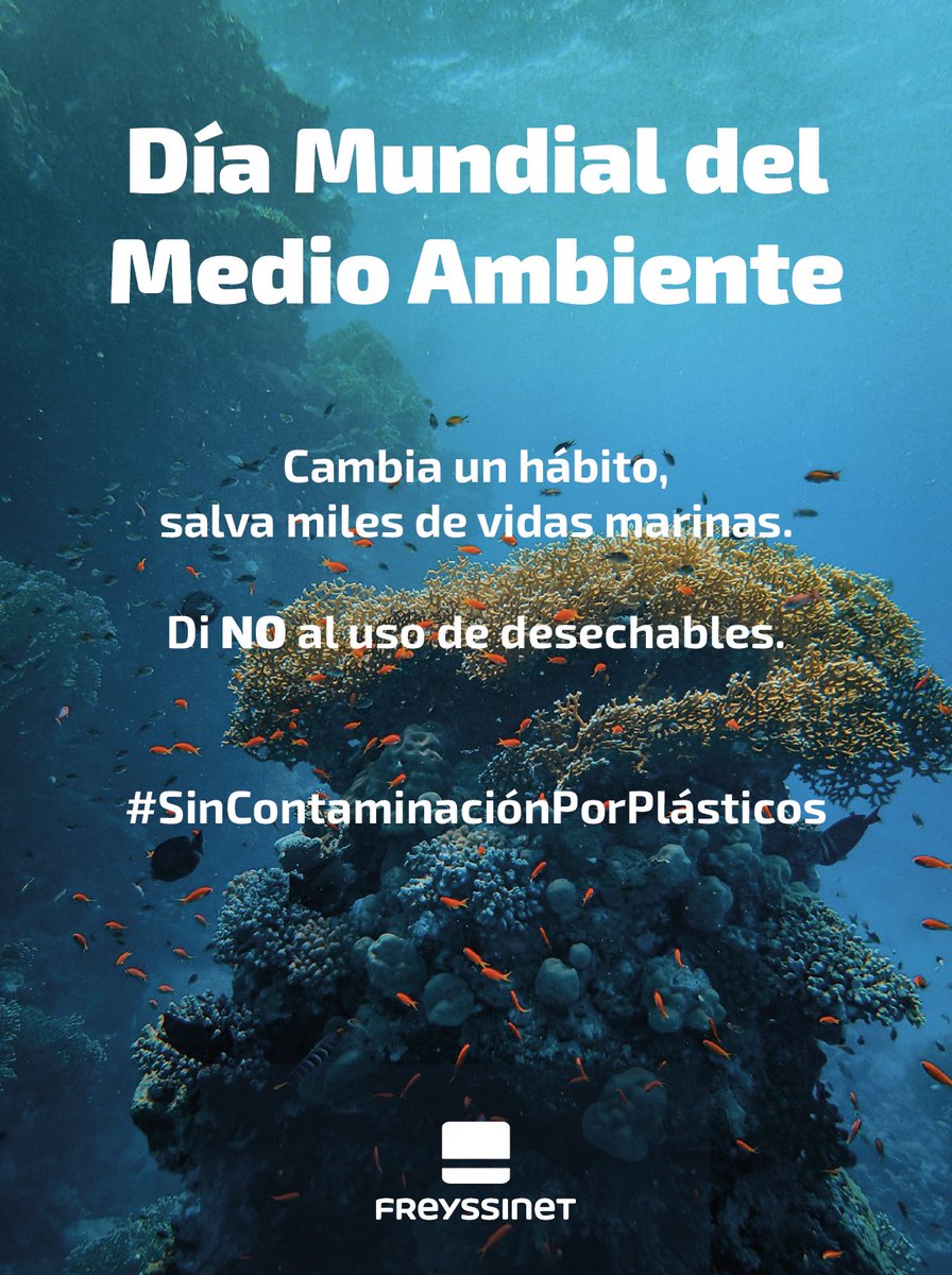 Freyssinet de México tweet media