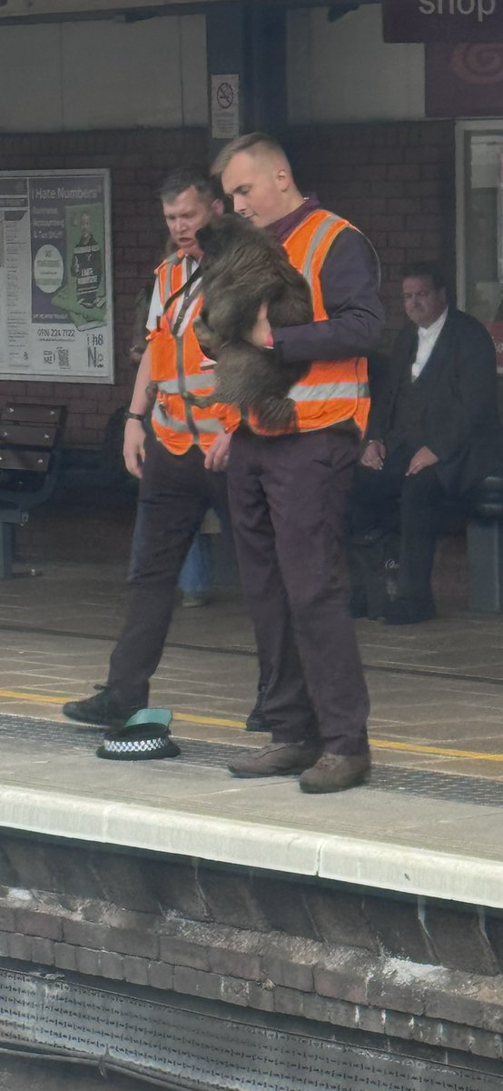 There was a dog under the train at Leicester train station, just now! Well done the staff who rescued the dog and got it safely back to its owner; but HUGE drama. Not sure how I’ll get this show in Nottingham done tonight.