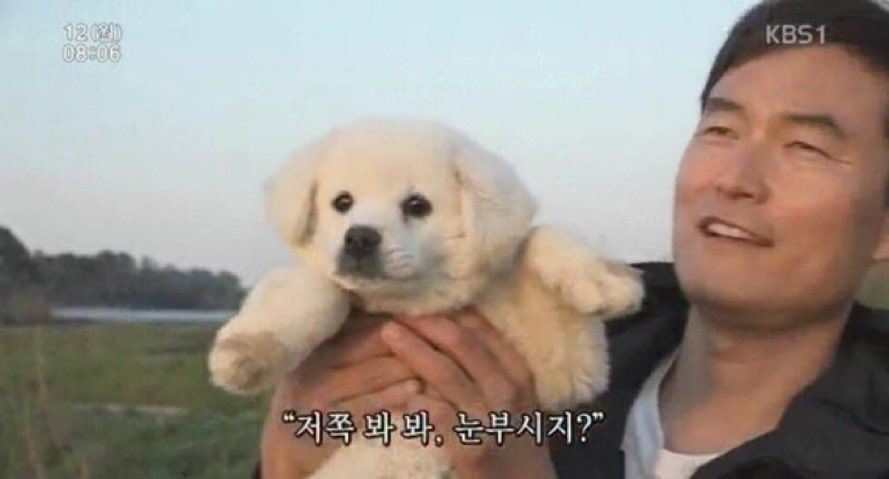 요즘 플레이브..무대하면 재미있겠다..생각했지만 키가 187이라 ...어디에도 낄수없어 포기..