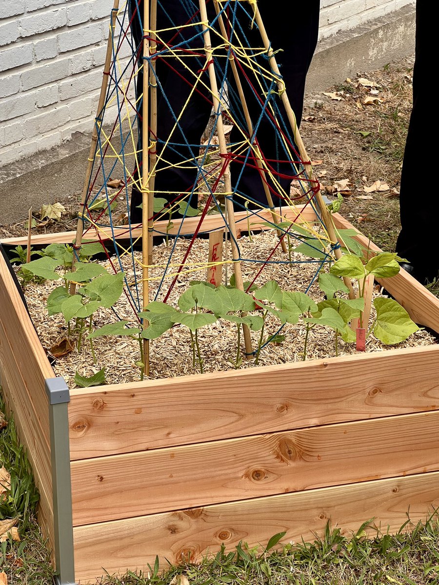 RepCD93's tweet photo. Notre élue Oldhynn Pierre, conseillère départementale du canton de Bondy, a accueilli Sarah El Haïry, Haute-Commissaire à l’Enfance, à la crèche départementale George Sand de Bondy, pour parler accès à la nature dès le plus jeune âge, en cette Journée de l’environnement. https://t.co/C45T1HJJ6A