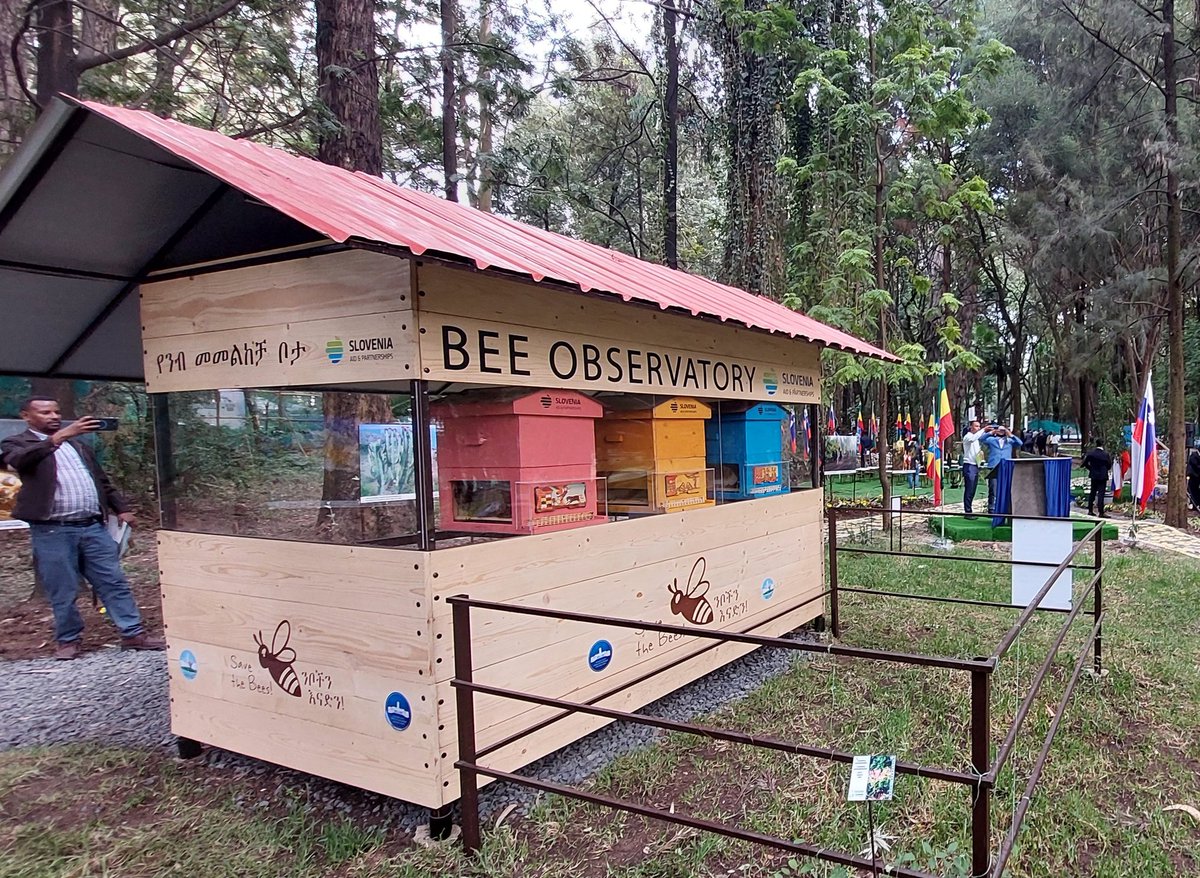Edvin Skrt (@edvinskrt) on Twitter photo Sometimes, it only takes modest means to spark real change. 🇸🇮🇪🇹
In Ethiopia, Slovenia empowers boys through beekeeping at Don Bosco and backs urban sustainability with Addis Ababa’s first two Bee Observatories - all opened by President Pirc Musar during her visit.
#SlovenianAid Sometimes, it only takes modest means to spark real change. 🇸🇮🇪🇹
In Ethiopia, Slovenia empowers boys through beekeeping at Don Bosco and backs urban sustainability with Addis Ababa’s first two Bee Observatories - all opened by President Pirc Musar during her visit.
#SlovenianAid