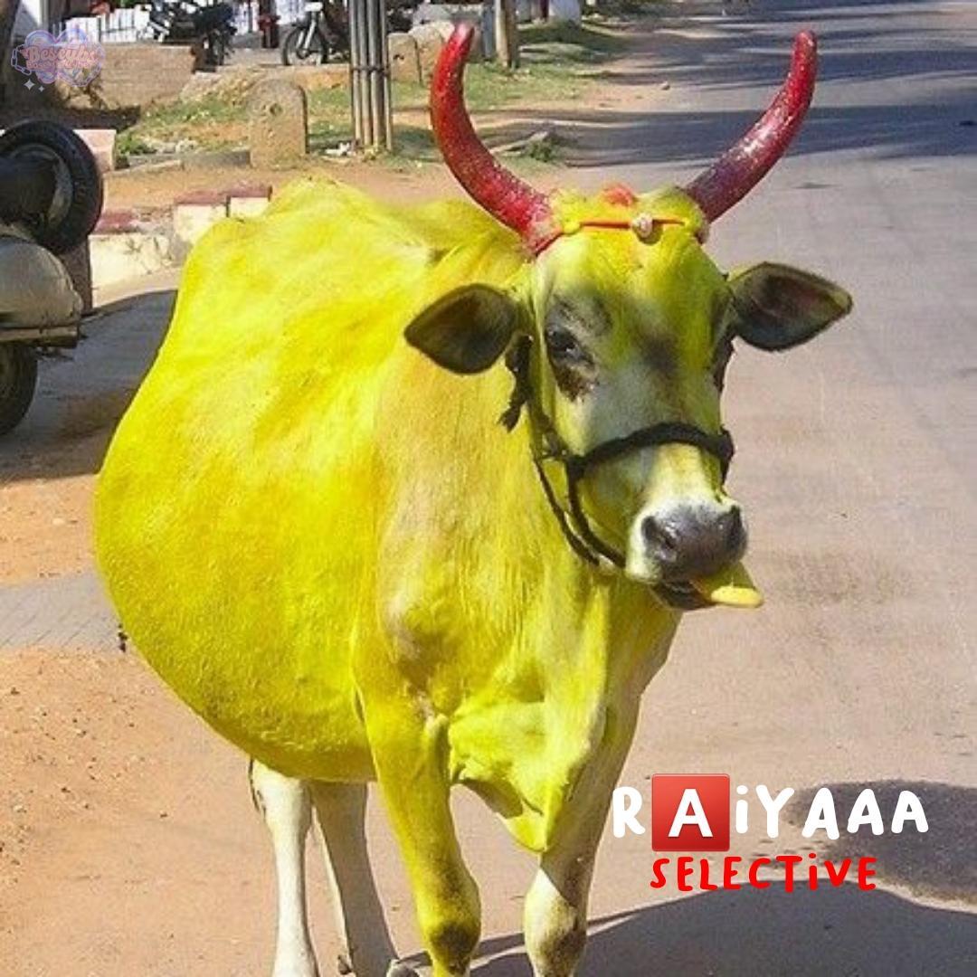 Bescybs ★ 𓂃 tweet media