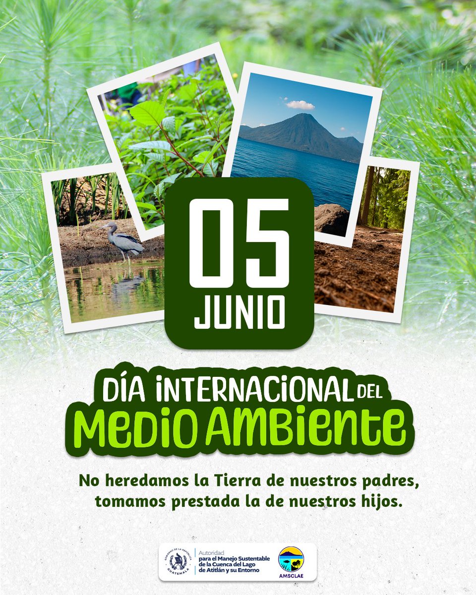 #AMSCLAE  || 🌱 Cuidar, conservar y proteger nuestros recursos naturales está en nuestras manos. En este #DíaDelMedioAmbiente, actuemos hoy por el bienestar de las futuras generaciones. 💚