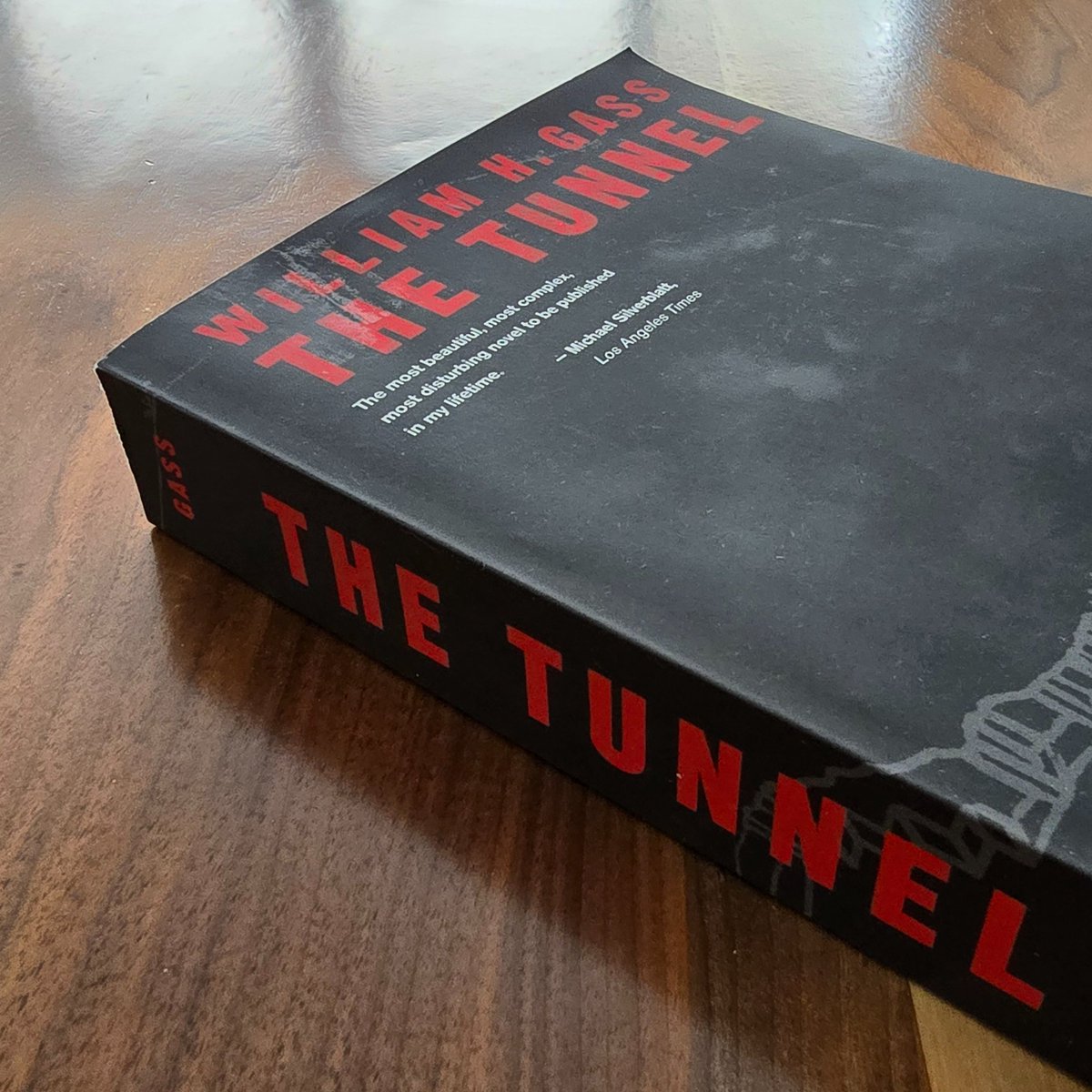 travelstoriesyt's tweet image. "Certainly I could not understand, then, how completely the world survived as the word, or that it was the historian's duty to outshout Time and talk down Oblivion" (65).
—William H Gass, The Tunnel