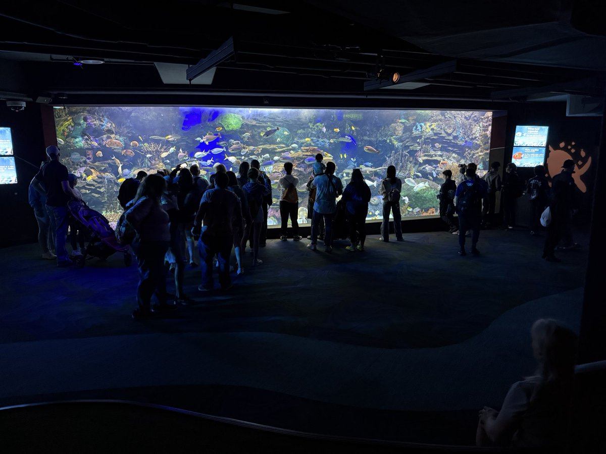 It’s Ripley’s Aquarium time! 🐟🐠🐡 #StMatthewGrade8Trip2025